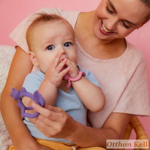 B.Box Csuklóra tehető rágóka - rózsaszín róka