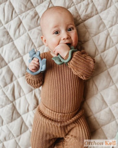 B.Box Csuklóra tehető rágóka - zöld róka