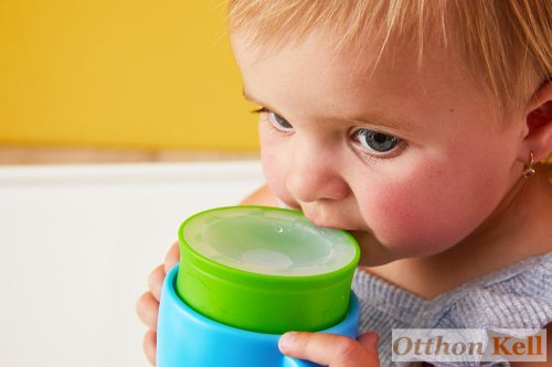 B.Box 360° itatópohár 250 ml - eperpiros