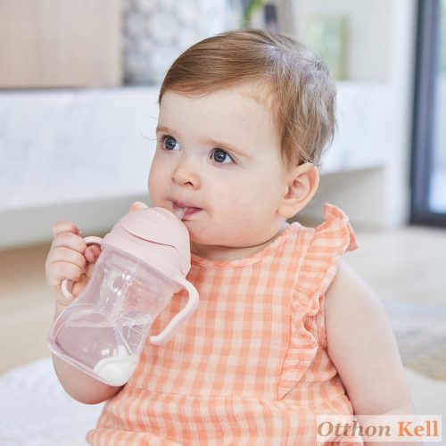 B.Box Súlyozott szívószálas itatópohár - pasztel rózsa