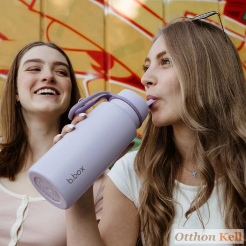 B.Box Hőtartó szívószálas fémkulacs 1 l - lilac love