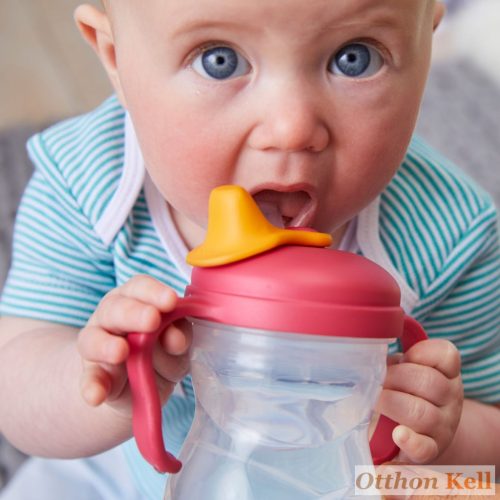 B.Box Csőrös itatópohár 240 ml - málnapiros