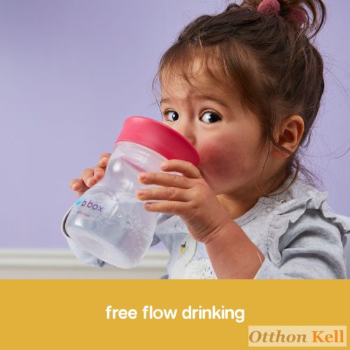 B.Box Tanulópohár 240 ml - málnapiros