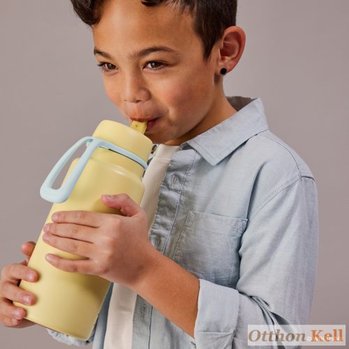 B.Box Hőtartó szívószálas fémkulacs 1 l - Looney tunes