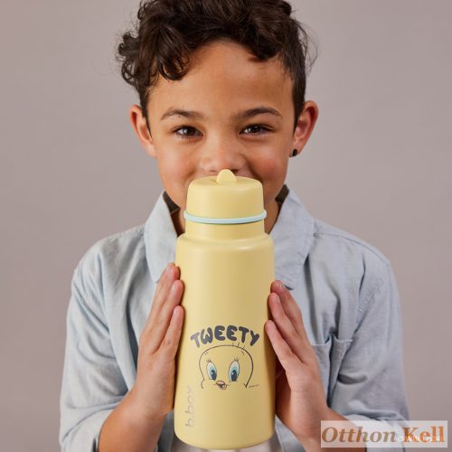 B.Box Hőtartó szívószálas fémkulacs 1 l - Looney tunes