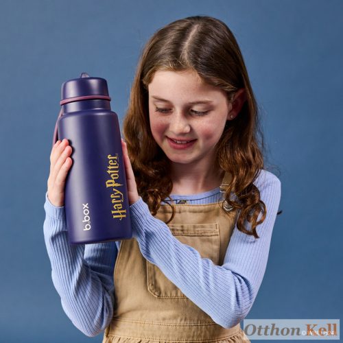 B.Box Hőtartó szívószálas fémkulacs 1 l - Harry Potter