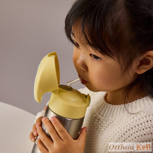 B.Box Hőtartó szívószálas fémkulacs 350 ml - Looney tunes