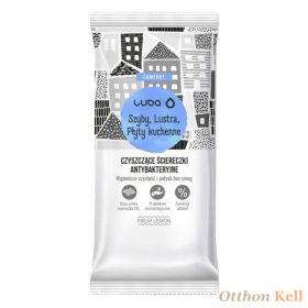   Luba Antibakteriális törlőkendők ablakokhoz, tükrökhöz, konyhai főzőlapokhoz, 32db