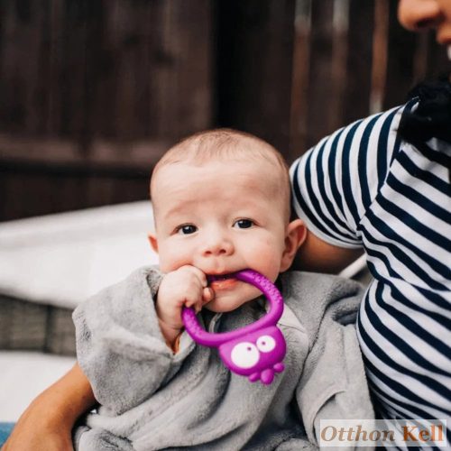 Tommee Tippee fogzást segítő Kalani rágóka, 3 hó+ (lila)