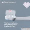 Chicco Fogkefe 6m+